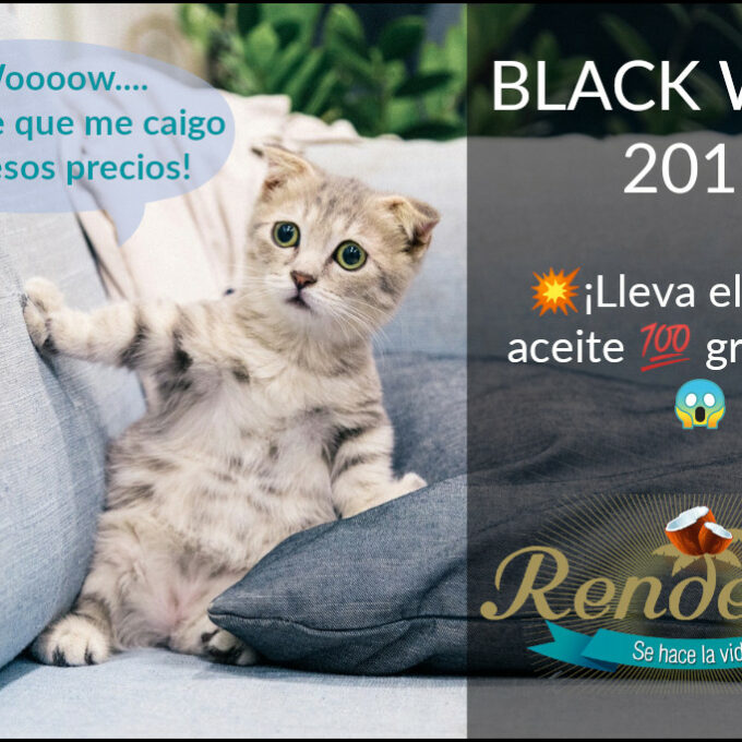 black week 2019 gatito