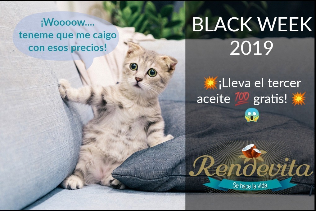 black week 2019 gatito