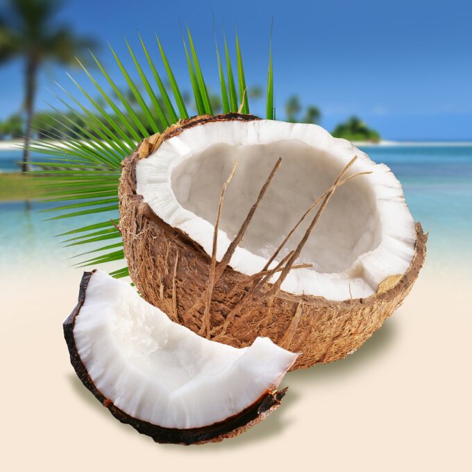 coconuts on the beach, summer, beach-4868864.jpg